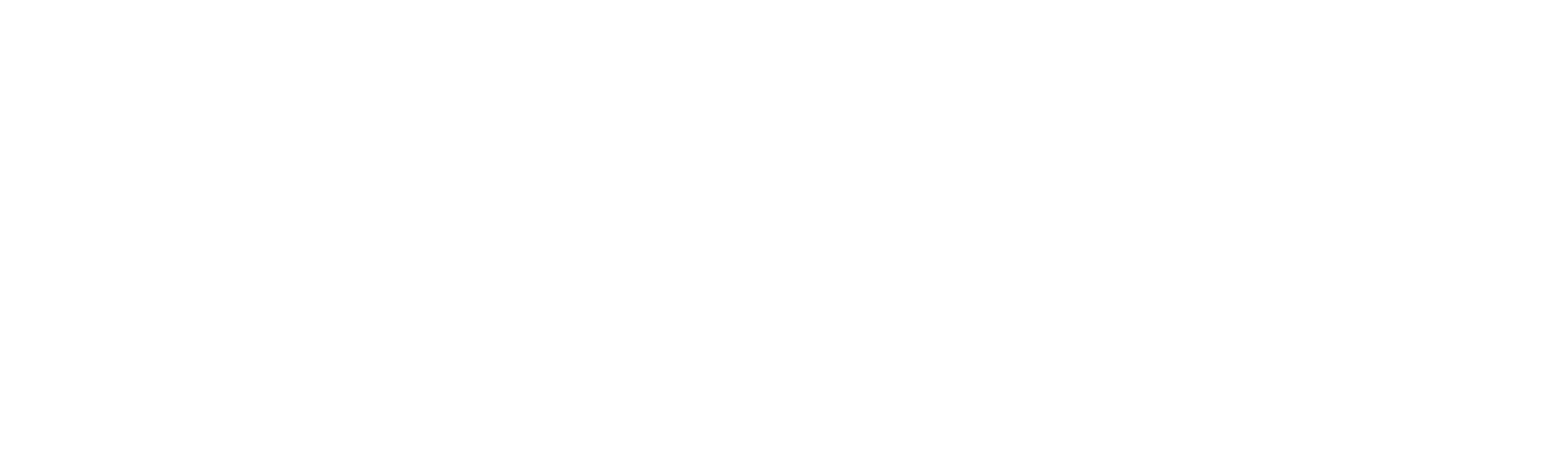 Logo Circuito Peruano de SUP RACE 2026